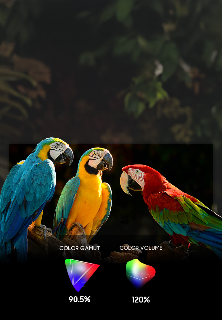 An image of three parrots with Color Gamut and Color Volume graphs.